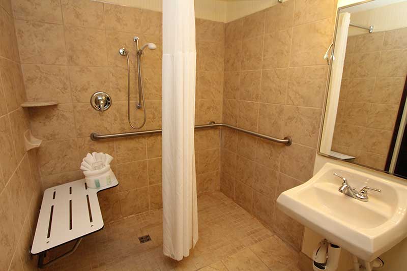 Bathroom with tile shower and hand rails in hotel room