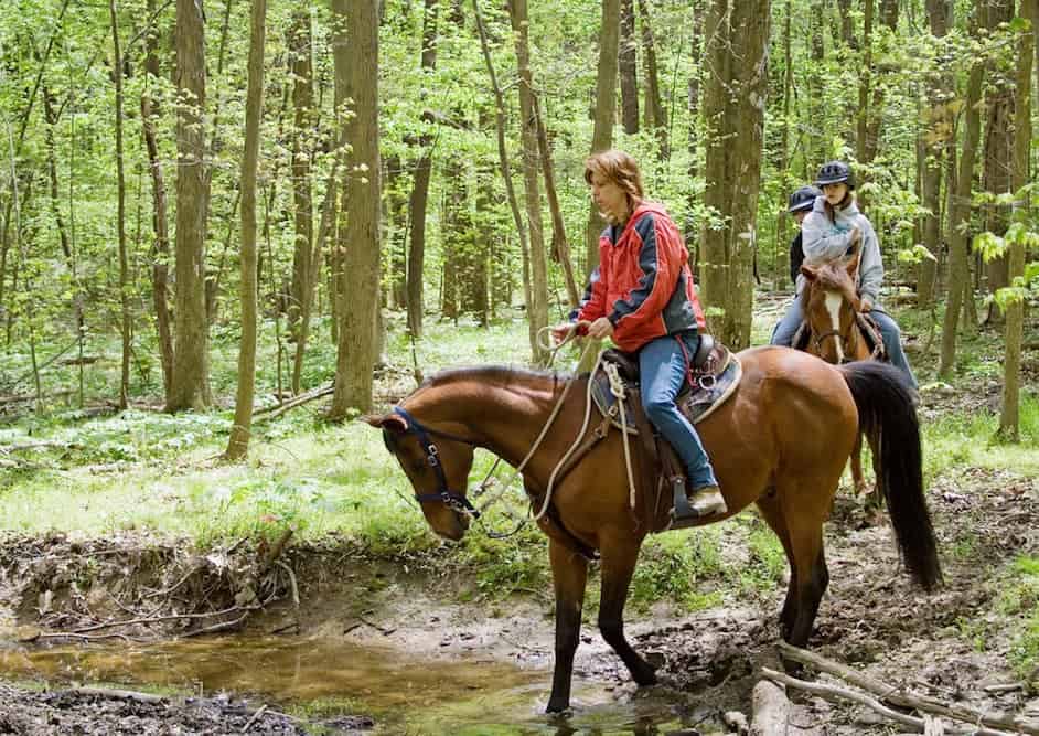 A family horseback riding in the woods.