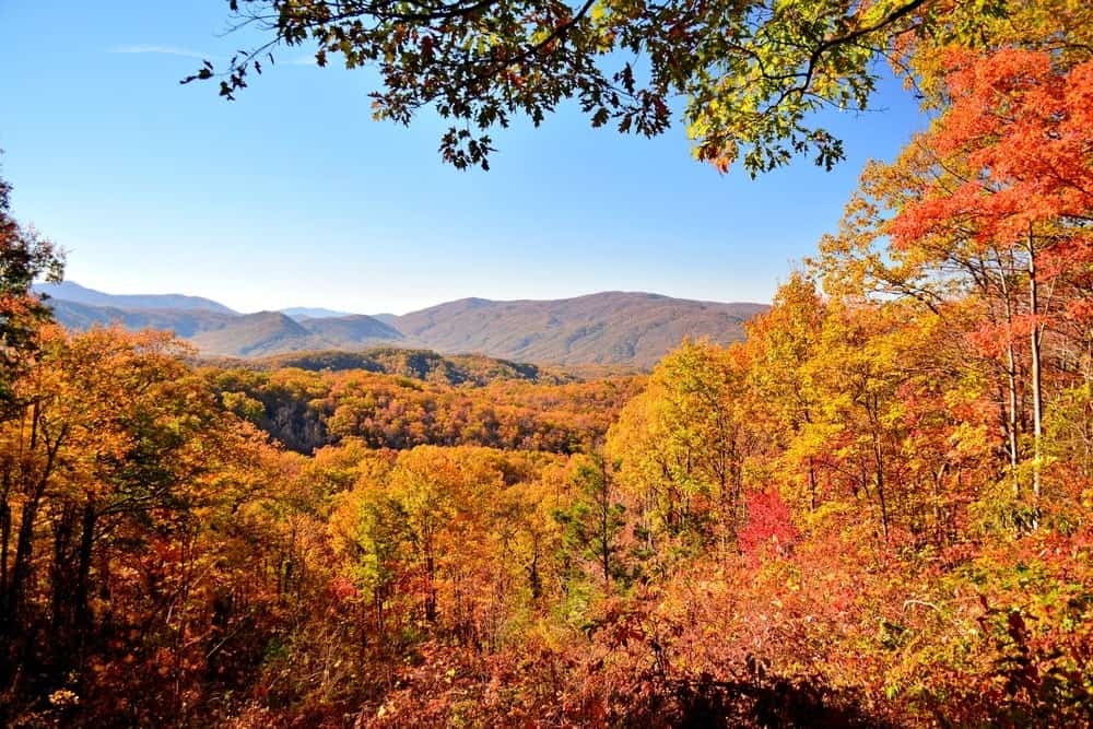 Great Smoky Mountains in the fall