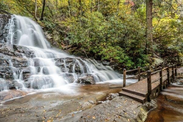 laurel falls hike