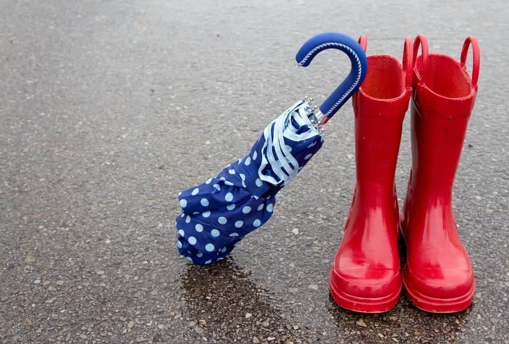 Rain boots and umbrella