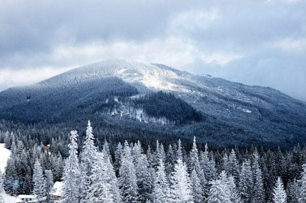 winter in the smoky mountains