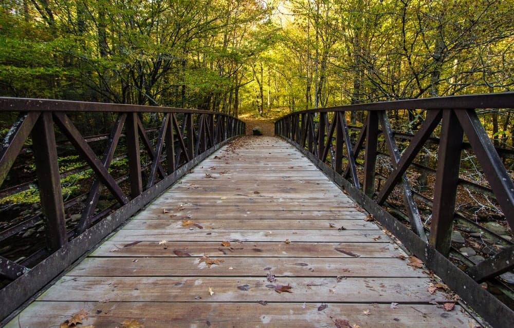 gatlinburg trail foot bridge
