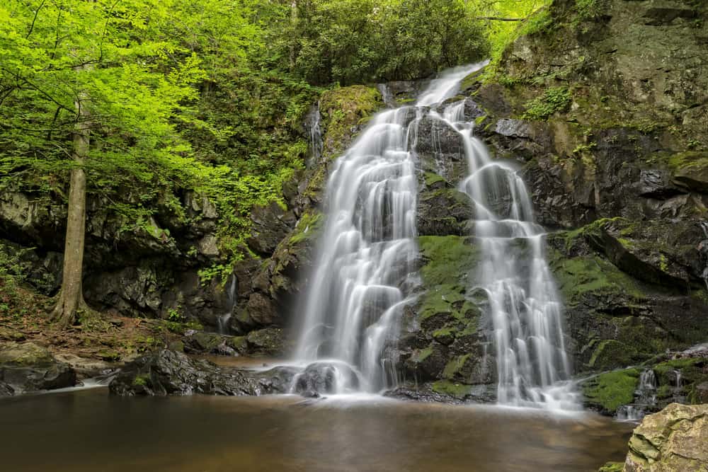 spruce flats falls waterfall in the great smoky mountains national park