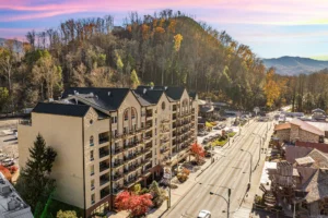 Black Bear Inn and Suites