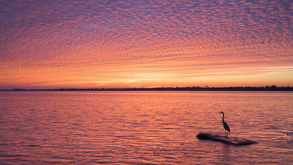 Summer Photography Hotspots